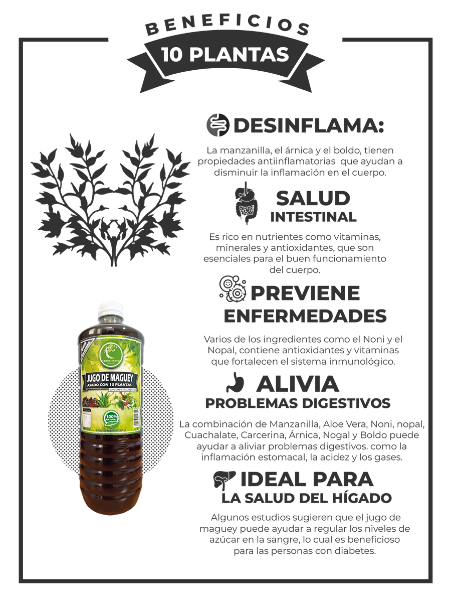 Jugo de maguey 100% Puro – Om Bodyshop