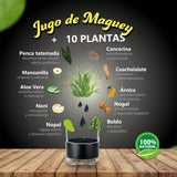 JUGO DE MAGUEY ASADO CON 10 PLANTAS 1L