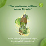 JUGO DE MAGUEY CON NOPAL 1L