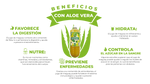JUGO DE MAGUEY CON ALOE VERA 1L