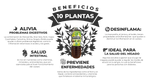 JUGO DE MAGUEY ASADO CON 10 PLANTAS 1L