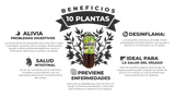 JUGO DE MAGUEY ASADO CON 10 PLANTAS 1L